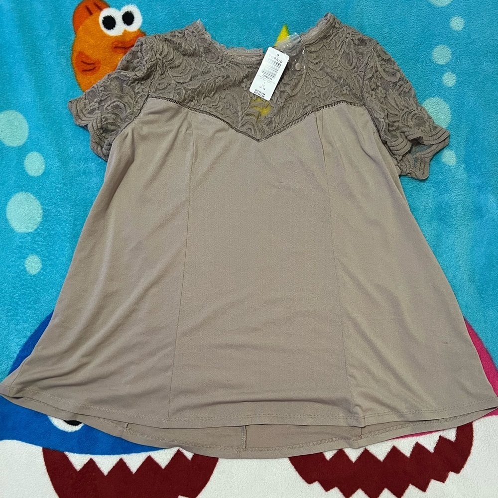 NWT Torrid Taupe Studio Knit and Lace Top​​